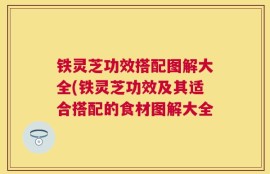 铁灵芝功效搭配图解大全(铁灵芝功效及其适合搭配的食材图解大全