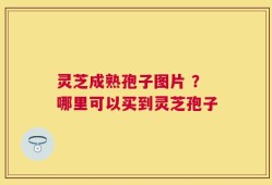 灵芝成熟孢子图片 ？哪里可以买到灵芝孢子