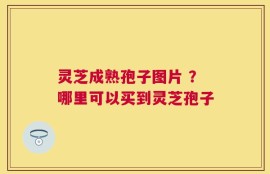 灵芝成熟孢子图片 ？哪里可以买到灵芝孢子