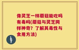 像灵芝一样蘑菇能吃吗有毒吗(蘑菇与灵芝同样神奇？了解其毒性与食用方法)