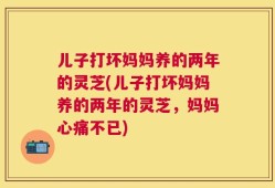 儿子打坏妈妈养的两年的灵芝(儿子打坏妈妈养的两年的灵芝，妈妈心痛不已)