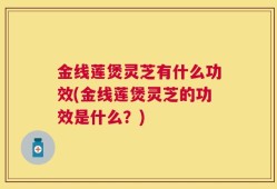 金线莲煲灵芝有什么功效(金线莲煲灵芝的功效是什么？)