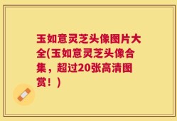 玉如意灵芝头像图片大全(玉如意灵芝头像合集，超过20张高清图赏！)