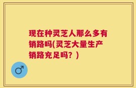 现在种灵芝人那么多有销路吗(灵芝大量生产销路充足吗？)