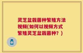 灵芝盆栽菌种繁殖方法视频(如何以视频方式繁殖灵芝盆栽菌种？)