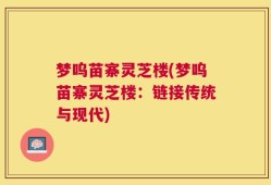 梦呜苗寨灵芝楼(梦呜苗寨灵芝楼：链接传统与现代)
