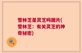 雪林芝是灵芝吗图片(雪林芝：有关灵芝的神奇秘密)