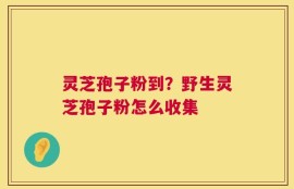 灵芝孢子粉到？野生灵芝孢子粉怎么收集