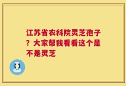 江苏省农科院灵芝孢子？大家帮我看看这个是不是灵芝