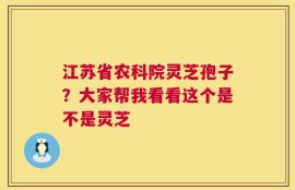江苏省农科院灵芝孢子？大家帮我看看这个是不是灵芝