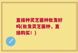 直接种灵芝菌种批发好吗(批发灵芝菌种，直接购买！)