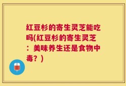 红豆杉的寄生灵芝能吃吗(红豆杉的寄生灵芝：美味养生还是食物中毒？)