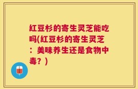红豆杉的寄生灵芝能吃吗(红豆杉的寄生灵芝：美味养生还是食物中毒？)