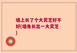 墙上长了个大灵芝好不好(墙角长出一大灵芝)