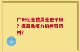 广州仙芝楼灵芝孢子粉？提高免疫力的神奇药材？