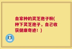 自家种的灵芝孢子粉(种下灵芝孢子，自己收获健康奇迹！)