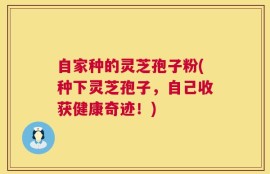 自家种的灵芝孢子粉(种下灵芝孢子，自己收获健康奇迹！)