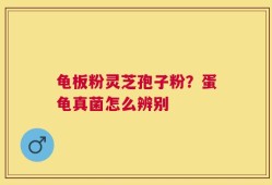龟板粉灵芝孢子粉？蛋龟真菌怎么辨别