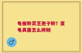 龟板粉灵芝孢子粉？蛋龟真菌怎么辨别