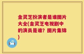 金灵芝扮演者是谁图片大全(金灵芝电视剧中的演员是谁？图片集锦)