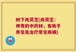 树下肉灵芝(肉灵芝：神奇的中药材，有助于养生及治疗常见疾病)