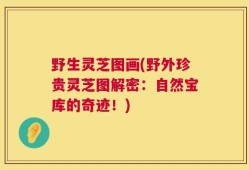 野生灵芝图画(野外珍贵灵芝图解密：自然宝库的奇迹！)