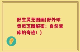 野生灵芝图画(野外珍贵灵芝图解密：自然宝库的奇迹！)