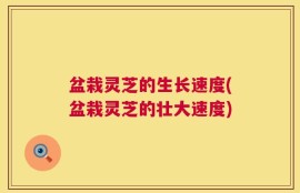 盆栽灵芝的生长速度(盆栽灵芝的壮大速度)