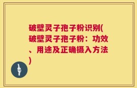 破壁灵子孢子粉识别(破壁灵子孢子粉：功效、用途及正确摄入方法)