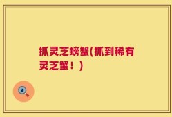 抓灵芝螃蟹(抓到稀有灵芝蟹！)