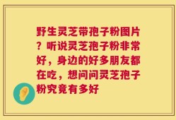 野生灵芝带孢子粉图片？听说灵芝孢子粉非常好，身边的好多朋友都在吃，想问问灵芝孢子粉究竟有多好