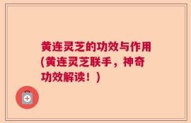 黄连灵芝的功效与作用(黄连灵芝联手，神奇功效解读！)