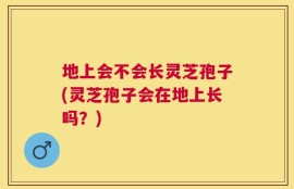 地上会不会长灵芝孢子(灵芝孢子会在地上长吗？)