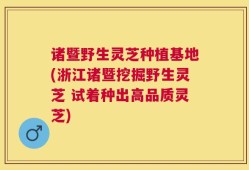 诸暨野生灵芝种植基地(浙江诸暨挖掘野生灵芝 试着种出高品质灵芝)
