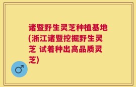 诸暨野生灵芝种植基地(浙江诸暨挖掘野生灵芝 试着种出高品质灵芝)