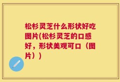 松杉灵芝什么形状好吃图片(松杉灵芝的口感好，形状美观可口（图片）)