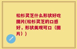 松杉灵芝什么形状好吃图片(松杉灵芝的口感好，形状美观可口（图片）)