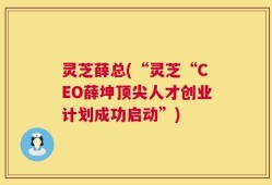 灵芝薛总(“灵芝“CEO薛坤顶尖人才创业计划成功启动”)