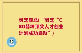 灵芝薛总(“灵芝“CEO薛坤顶尖人才创业计划成功启动”)