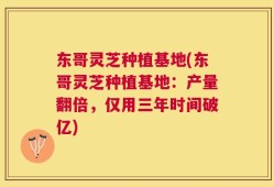 东哥灵芝种植基地(东哥灵芝种植基地：产量翻倍，仅用三年时间破亿)