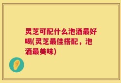 灵芝可配什么泡酒最好喝(灵芝最佳搭配，泡酒最美味)