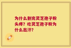 为什么割完灵芝孢子粉头疼？吃灵芝孢子粉为什么出汗？