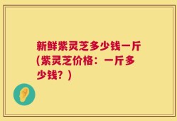 新鲜紫灵芝多少钱一斤(紫灵芝价格：一斤多少钱？)