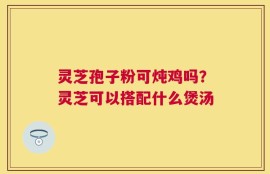 灵芝孢子粉可炖鸡吗？灵芝可以搭配什么煲汤