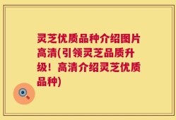 灵芝优质品种介绍图片高清(引领灵芝品质升级！高清介绍灵芝优质品种)