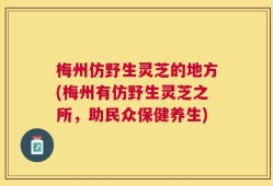 梅州仿野生灵芝的地方(梅州有仿野生灵芝之所，助民众保健养生)