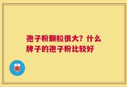 孢子粉颗粒很大？什么牌子的孢子粉比较好