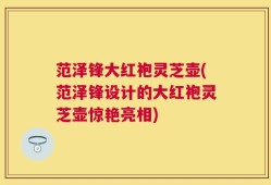 范泽锋大红袍灵芝壶(范泽锋设计的大红袍灵芝壶惊艳亮相)