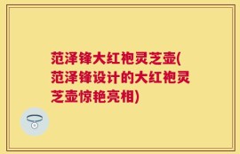 范泽锋大红袍灵芝壶(范泽锋设计的大红袍灵芝壶惊艳亮相)