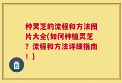 种灵芝的流程和方法图片大全(如何种植灵芝？流程和方法详细指南！)